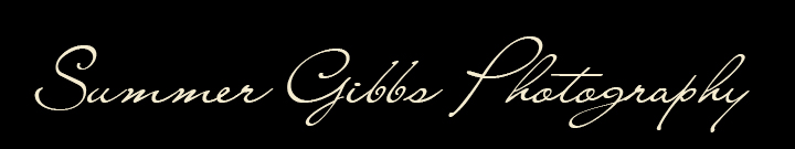 Summer Gibbs Photography